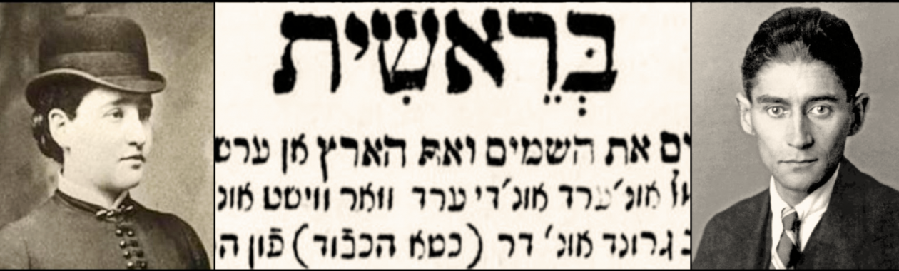 גליון מספר 12